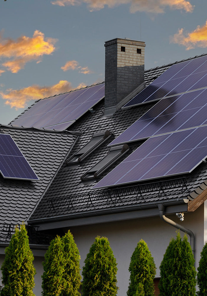 <h1>Contactez-nous</h1>